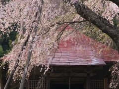 16：10　上石（あげいし）の不動桜

樹齢350年、市の天然記念物。
三春の滝桜の子孫と伝わる。


駐車場　無料