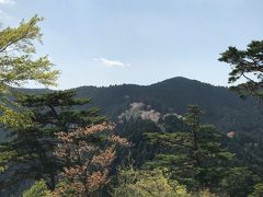 
あとは、ひたすら下って戻りました

吉野水分神社に着くまでに高城展望台があるので、少し登って行ってみました

こちらも見晴らしの良いところで、奥の方に少し山桜が見られました
