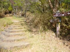 10時02分に出発。最初は車道を歩き、すぐ登山道に入ります。