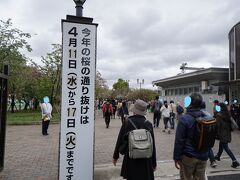 ここから造幣局桜の通り抜けです。