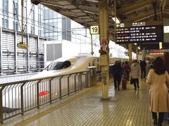 集合は東京駅に８時２５分、８時４７分発のぞみ３０９号で京都駅まで乗車し、京都駅到着は１１時０５分で八条口から観光バスに乗車して観光が始まりました。