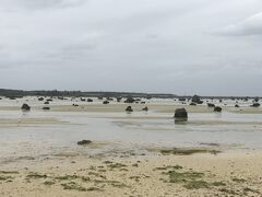 佐和田の浜。
昔の津波で流されてきた岩がたくさん！