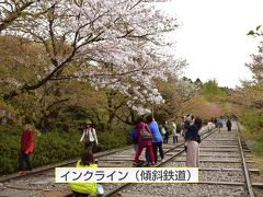 琵琶湖疎水にちなむ蹴上インクラインは南禅寺の近くにあり、琵琶湖疏水の急斜面で船を運航するために敷設された傾斜鉄道の跡地でした。興味を誘われたのは軌道の幅で国内では珍しく、新幹線の標準軌道より広い広軌の軌道でした。線路両側にはソメイヨシノやヤマザクラが植えられていてヤマザクラが見頃でした。