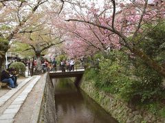 南禅寺から永観堂を抜け若王子神社に至ると琵琶湖疎水沿いに歩道が続く哲学の道となり、銀閣寺に至ります。観光バスは銀閣寺駐車場で待っているため哲学の道を歩くことになりましたが、所々に遅咲きの桜や甘味処もあり休憩しながら楽しめました。