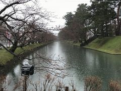 有名な弘前城の桜はまだ咲いてませんでした、、。
おまけに雨降ってる。悲しい～