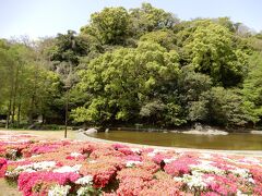 城内の庭園から見る本丸の山・・・、ただの山にしか見えないですね。だから「ただの公園」などと言われてしまうのですが、立派な石垣と縄張りがしっかり残っている立派な城跡なのですよ。

　さて、この徳島城を後に鳴戸公園を目指します。徳島自動車道徳島ＩＣから入り、鳴戸ＪＣＴから高松自動車道、鳴戸ＩＣから神戸淡路鳴戸自動車道を通り鳴戸北ＩＣで下りました。