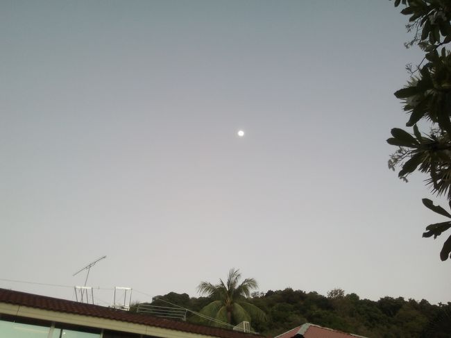 上を見ると今度は月の晩です。そういえば、星空をクラビでゆっくり見ることが今までなかったかも。