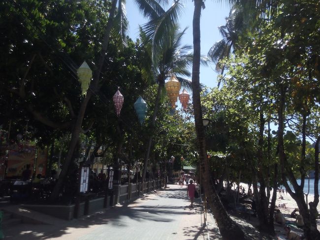 今日は、朝からアオナンビーチでゴロゴロするだけ。朝はまだ人がいなくて、木陰のベストポジションを確保。