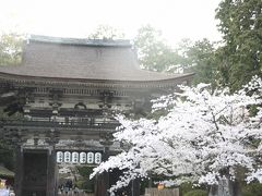 時間外の石山寺散策
一般の拝観時間は終わっており、特別に時間外の散策時間を石山寺で
設けて頂き人の居ない静寂な中の桜観賞となった。
