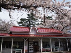 現役の芦野公園駅は小さなコンクリの建物ですが
旧駅舎は木造の立派な建物で現在は喫茶店になっています
列車を1本見送ったため次は1時間後なのでここでランチにします