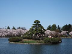 以前日本最北限の蓮の群生地という看板に魅かれて
やってきたことのある猿賀公園です
（ちなみに最北の蓮の群生地は北海道北見市にあります）
津軽尾上駅から徒歩15分ほどです

ハス以外にも桜も有名みたいです
北海道の桜名所ではあまりない大きな池の周りに桜が咲く公園です