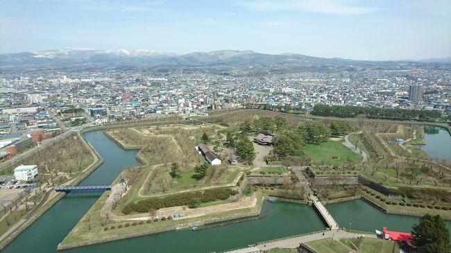 五稜郭の全景を見ることができます。