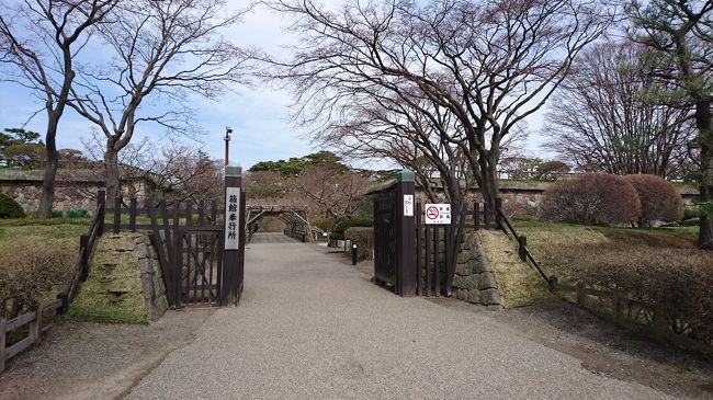 行くかどうか迷いましたが、箱館奉行所に向かいます。<br /><br />サクラソフトを食べてしまったので、このまま次の予定先に行くのも気がひけて。。。