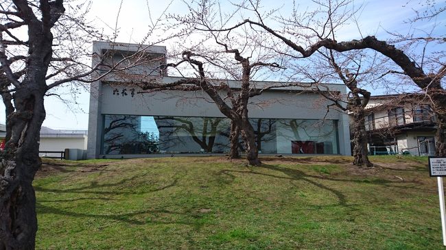 箱館奉行所方面から見る六花亭！<br /><br />サクラソフトを食べたばかりですが、こちらに向かいます〜