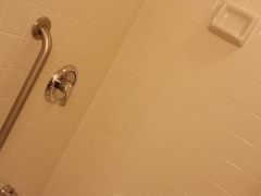 　そして最終宿泊ホテル、マリオットピーボディへ。
あー、ここも固定式シャワーでした・・・