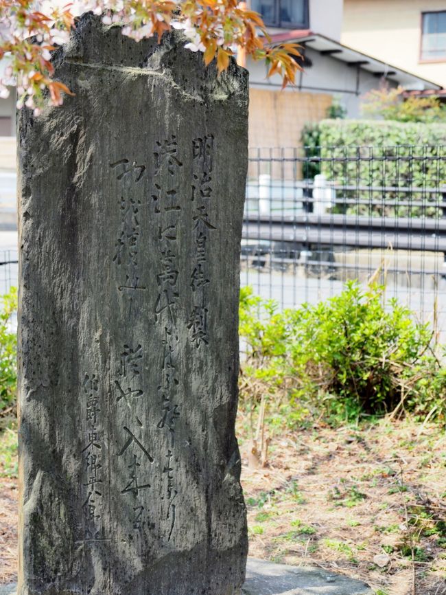 京都ひとり旅２ マニアックが行く嵐電巡り 秦氏の謎を訪ねて 太秦 嵯峨野 嵐山 嵐山 嵯峨野 太秦 桂 京都 の旅行記 ブログ By Ellieさん フォートラベル
