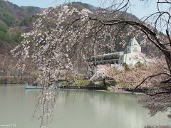 高遠さくらホテルと湖畔の桜

ちょっと桜の花が寂しいですが、ホテルがよく見えるので。