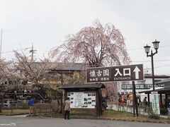 小諸城址　懐古園　14:15頃到着