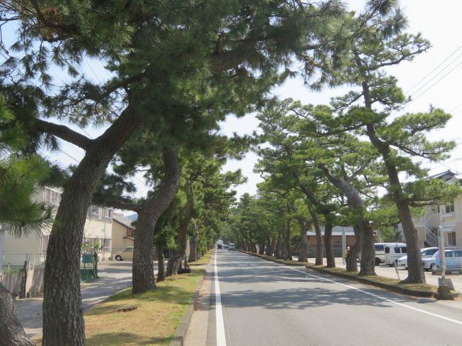 浜松の東海道舞坂宿を歩く 弁天島温泉 静岡県 の旅行記 ブログ By タビガラスさん フォートラベル 浜松の東海道舞坂宿を歩く 弁天島温泉 静岡県 の旅行記 ブログ By タビガラスさん フォートラベル