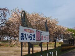 10分くらいで下田に到着です
時間があればここから20分くらいあるたところにある下田公園にも寄りたいところでしたが
30分しか滞在時間がないので駅から近い川沿いにある桜並木だけを見てきます