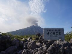最初は桜島も一周したかったのですが、時間がなくなってしまい、途中の有村溶岩展望所のみ散策。
