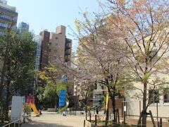 日比谷から恵比寿に戻ってきました。
恵比寿公園にも桜
