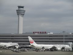 曇り空の中を羽田空港から那覇空港へ向かいました。