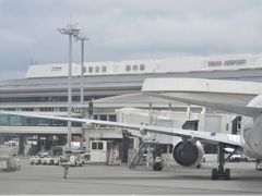 薄曇りの那覇空港に到着です。

旅行行程
4/14(土)　那覇出港
4/15(日)　石垣島寄港
4/16(月)　台湾・基隆寄港
4/17(火)　那覇寄港
4/18(水)　久米島寄港（通船）
4/19(木)　与那国島寄港（通船）
4/20(金)　那覇帰港
久米島、与那国島は、通船で上陸予定です。
