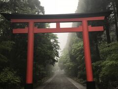 昼食を終えたら霧島神宮へ
車で15分程の距離にある日本神話の舞台である由緒正しい神宮です。

駐車場に停めるて二の鳥居をくぐって表参道を歩いていきます。
霧がかった神秘的な雰囲気が不思議な世界に来てしまったかのような景色でした。