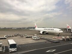 大河ドラマ「西郷どん」で盛り上がる鹿児島へ初上陸
JAL645便羽田(HND)10:15発に搭乗