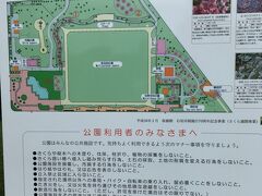 夕食の後は近くの新栄公園に行ってみました。