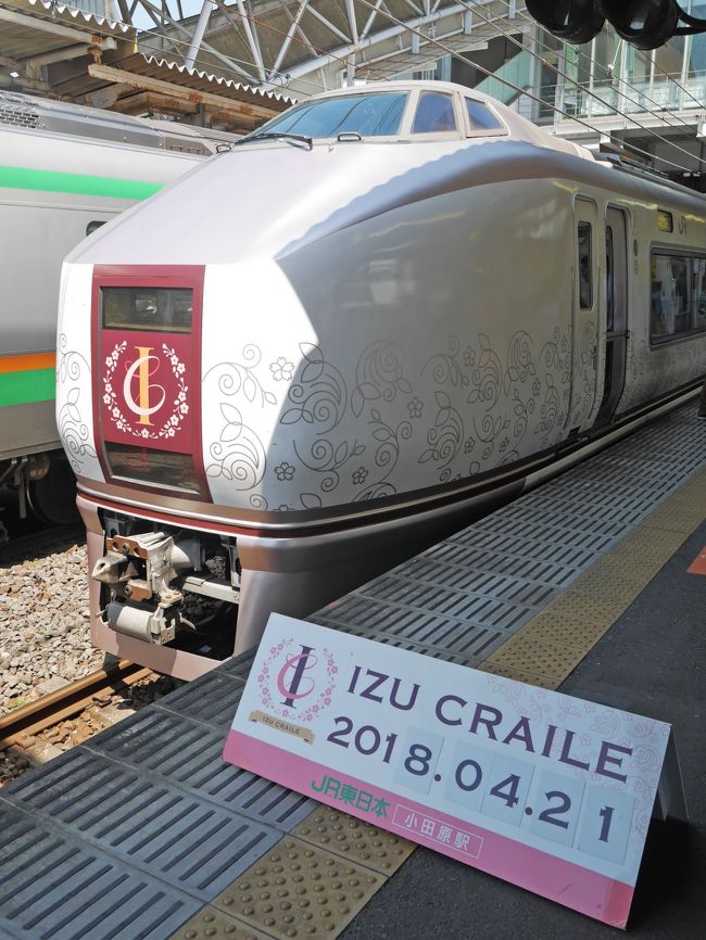 念願の 伊豆クレイル に乗って 春のぽかぽか列車旅 下田 静岡県 の旅行記 ブログ By みやゆかさん フォートラベル