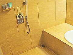 【ジ・オークラ・プレステージ・バンコク】

.....不思議なのは.....床が大理石のままなんに、そのままシャワーを浴びる方式であること......まあ、当然ですが、ツルっツルに滑るので.....ショボいマットが一枚、敷いてあります.....贅沢を尽くす余りの設計ミスか...？