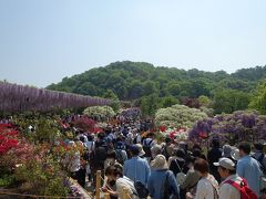 駅からは、正面ゲートも西ゲートも同じくらいの距離ですが、西ゲートの方が空いていると勧められ、西ゲートから入りました。朝１０時、並ばずに入れました。ゲートを入るとこの眺めが目に飛び込んできました。