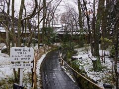 朝一で来たいと思って昨日、下見までした高級温泉旅館、由布院 玉の湯。　

こちらに宿泊するなんて、何をどう頑張っても私には無理ですが(苦笑)、目的は宿泊ではなく・・・