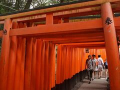 伏見稲荷の千本鳥居
京都には何度も行っているが、外国人行きたい場所No.1の千本鳥居は初めて。確かに、なんだかすごい光景。