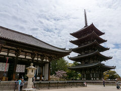 興福寺東金堂と五重塔。