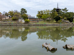 猿沢池。
五重塔が水面に映る風景がとても美しいとのことですが、今日は天気がいまいち。
亀さんがいます。