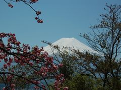 階段の途中からでも富士山の雄大な姿が望めます。