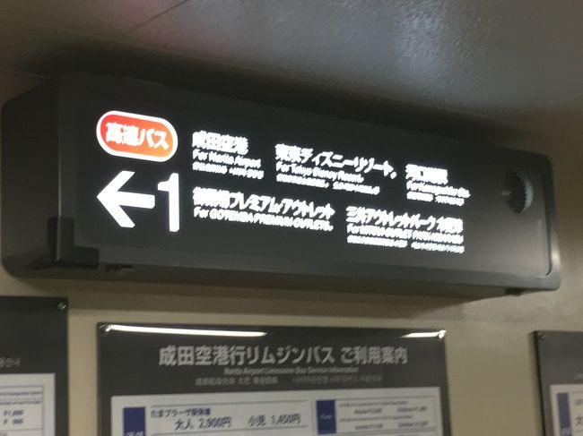 孫二人の東京ディズニーランド ふたたび 東京ディズニーリゾート 千葉県 の旅行記 ブログ By Beanbagさん フォートラベル