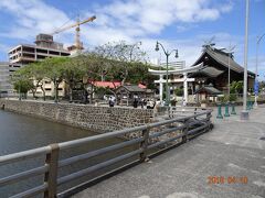 出雲大社
ワタクシ神社仏閣嫌いじゃないけど、ハワイでは参らなくても良いかな。これはワタクシの考えで。