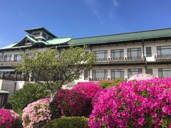 水族館の次はここです。　素敵なホテル　
つつじまつり開催です。