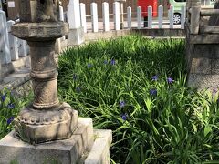 同じく摂社の一つ浅沢神社。