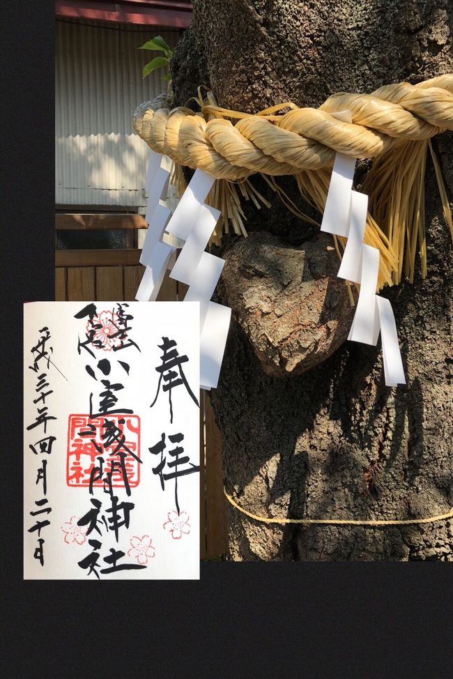即納】 檸檬♪ページ】「還暦パーティー」 「ワンちゃんと富士山
