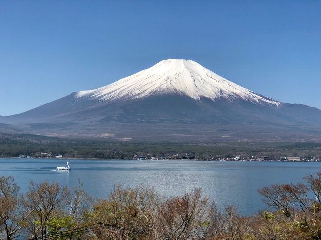 相棒犬ハッチと富士山三昧の旅!』富士五湖(山梨県)の旅行記 相棒犬ハッチと富士山三昧の旅!』富士五湖(山梨県)の旅行記
