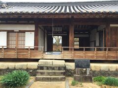 塩さば定食を食べてから安東河回村へ行きました。
雨の中でしたが静かで桜並木が綺麗でした。