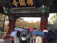 ３日め
干しタラ定食を食べてから
雨と霧の中バスで山道を登って行きました。
石窟庵は朝早いせいか、雨のせいか空いていました。
仏様をゆっくり見ることが出来ました、写真撮影は禁止でした。
仏国寺では雨に濡れて散る桜を見ることが出来ました。
