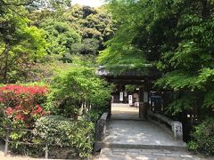 参道の先が宇治上神社の入口です
