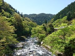 清々しい川の流れ
初夏にはゲンジボタルが見れるそうです