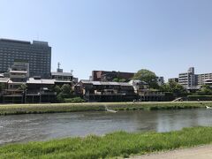 リッツカールトン目指して鴨川沿いを歩きます。（先ほどの六波羅蜜寺からは京阪の五条から三条で降りて鴨川沿い歩けばリッツカールトンへ着きます。）